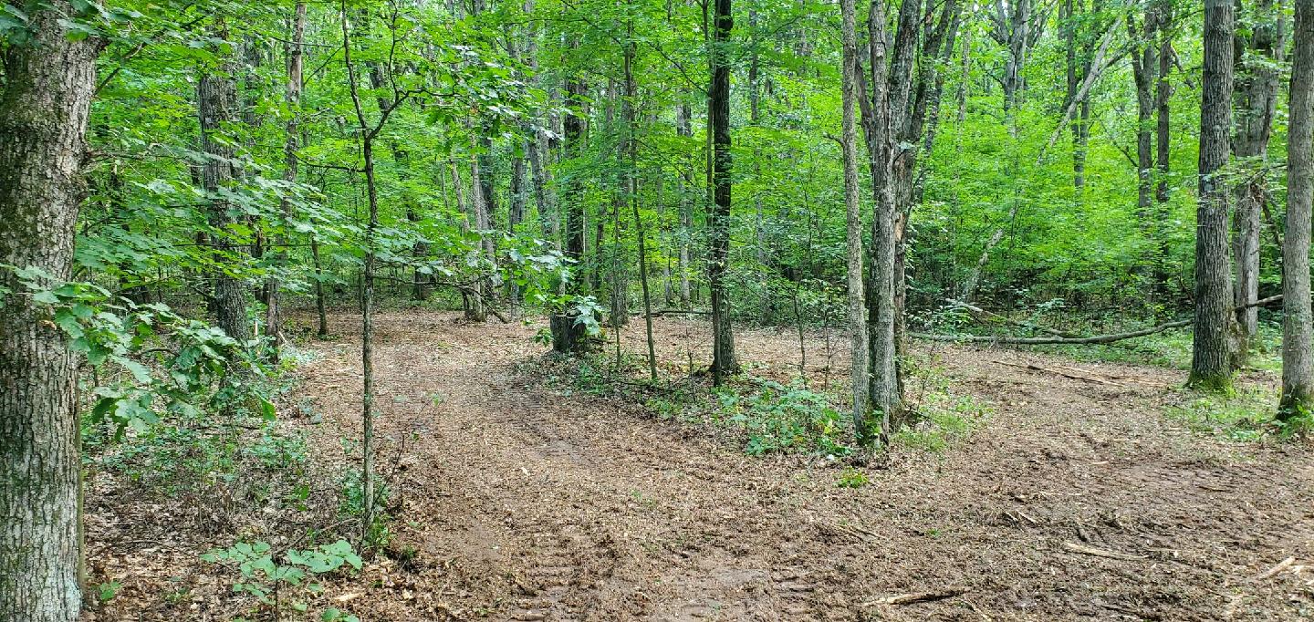 Hunting Clearing | Wisconsin Land Management