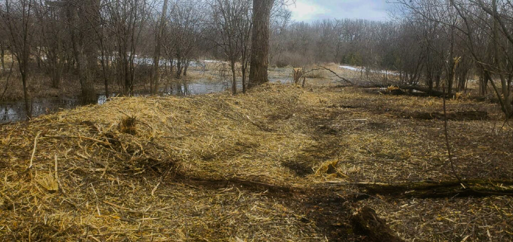 Land Clearing and Mulching