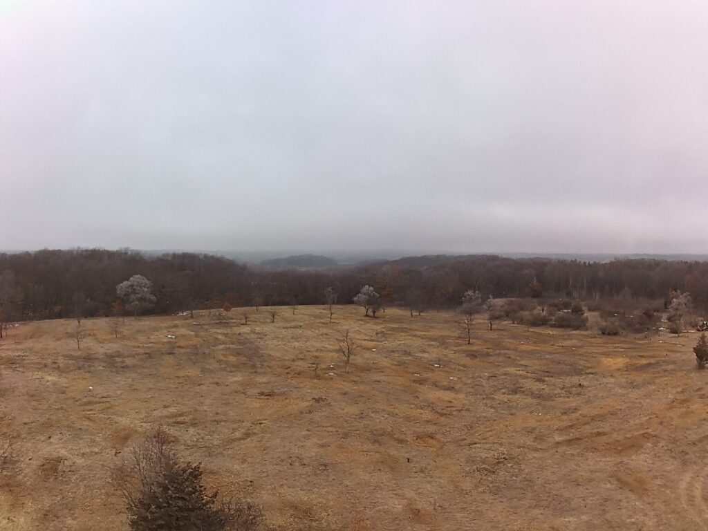 A large-scale pasture reclamation project in Wisconsin where invasive brush and trees have been cleared to restore grazing land.